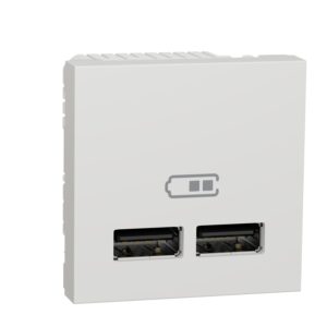 Розетка USB подвійна 2.1А 2 модулі білий