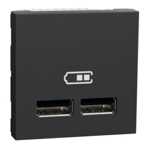 Розетка USB подвійна 2.1А 2 модулі антрацит